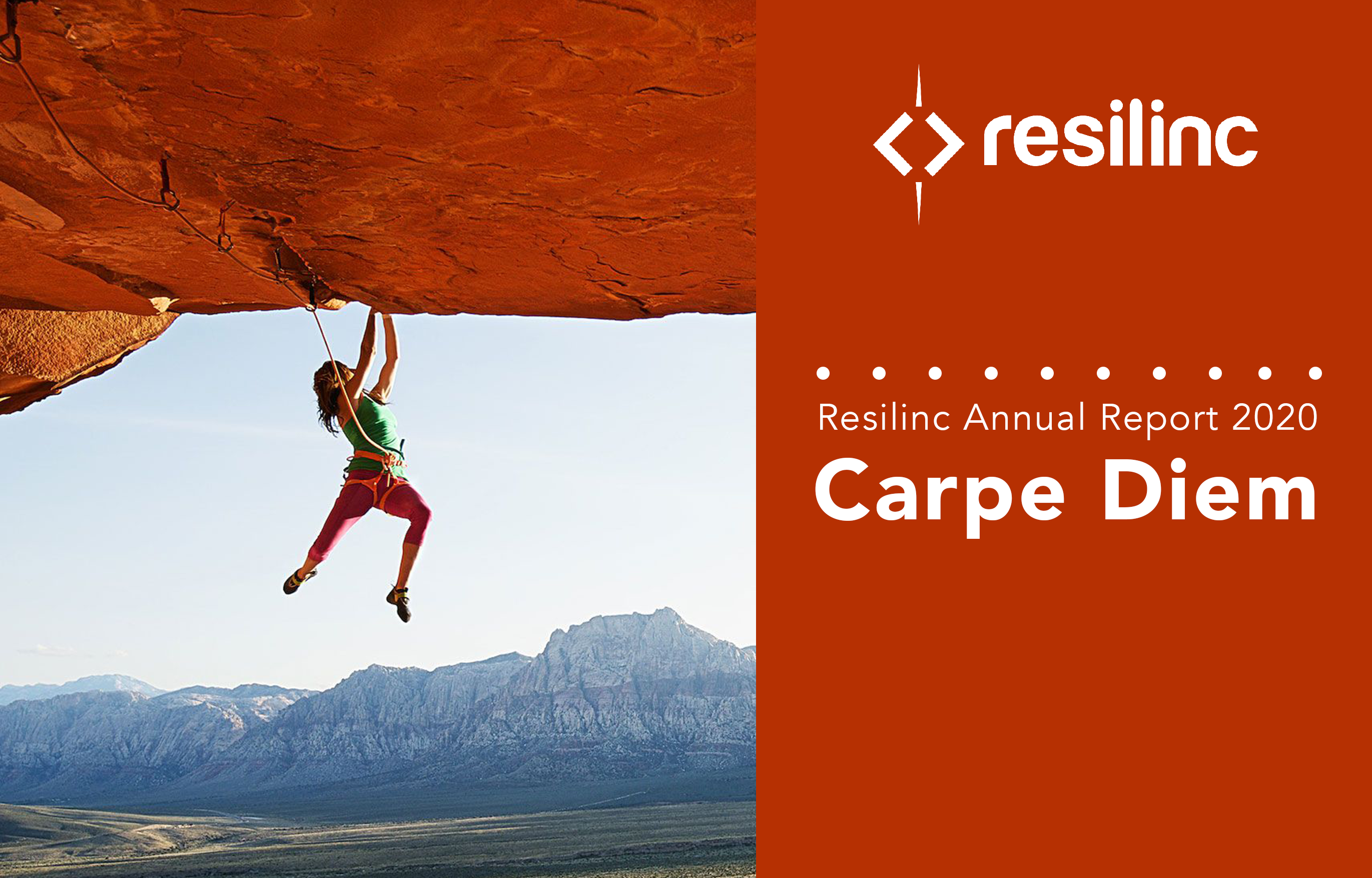 Resilinc Annual Report 2020