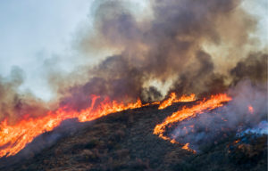 Read more about the article Wildfires are up 30% year over year and wreaking havoc on supply chains