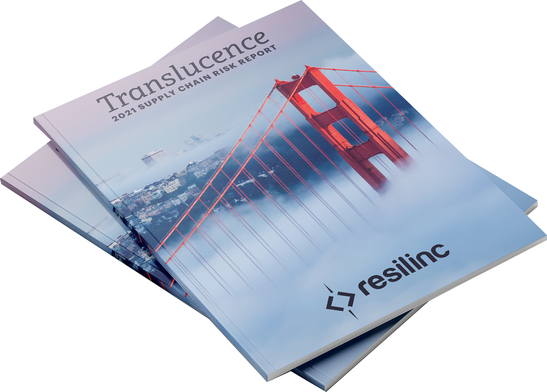 Translucence - Resilinc Annual Report 2021