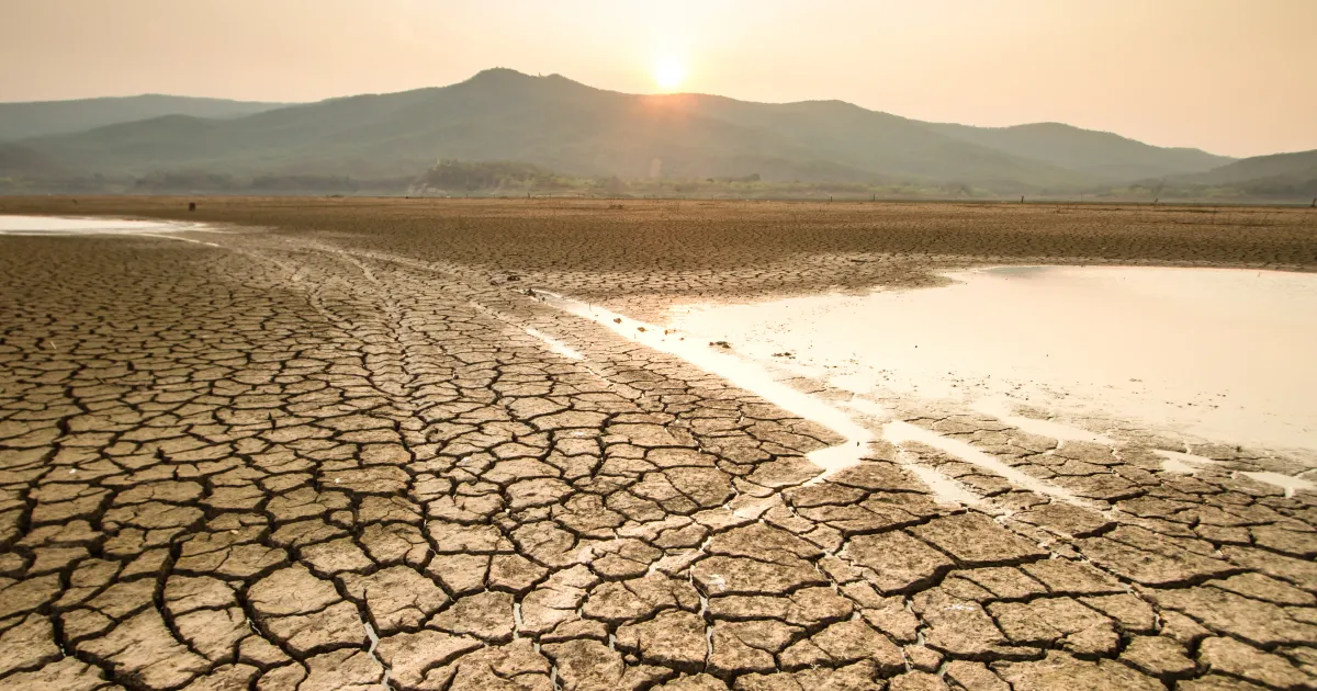 An image of dry land affected by a drought showing how climate change will impact supply chains. 