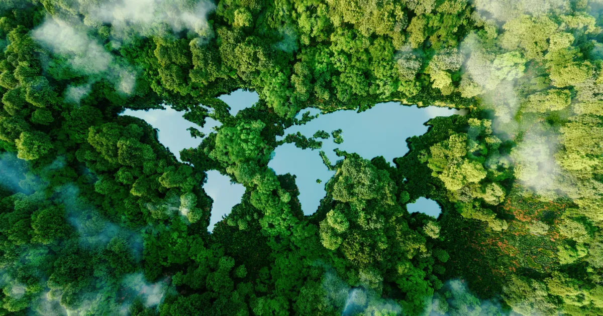 An aerial view of a forest with lakes in the shape of the continents.